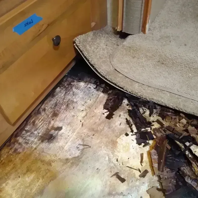 Wood Floor Water Damage in Pocahontas, IA